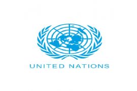 UN-Habitat Calls for Inclusive and Climate-Resilient Housing Strategies to Address Global Housing Crisis